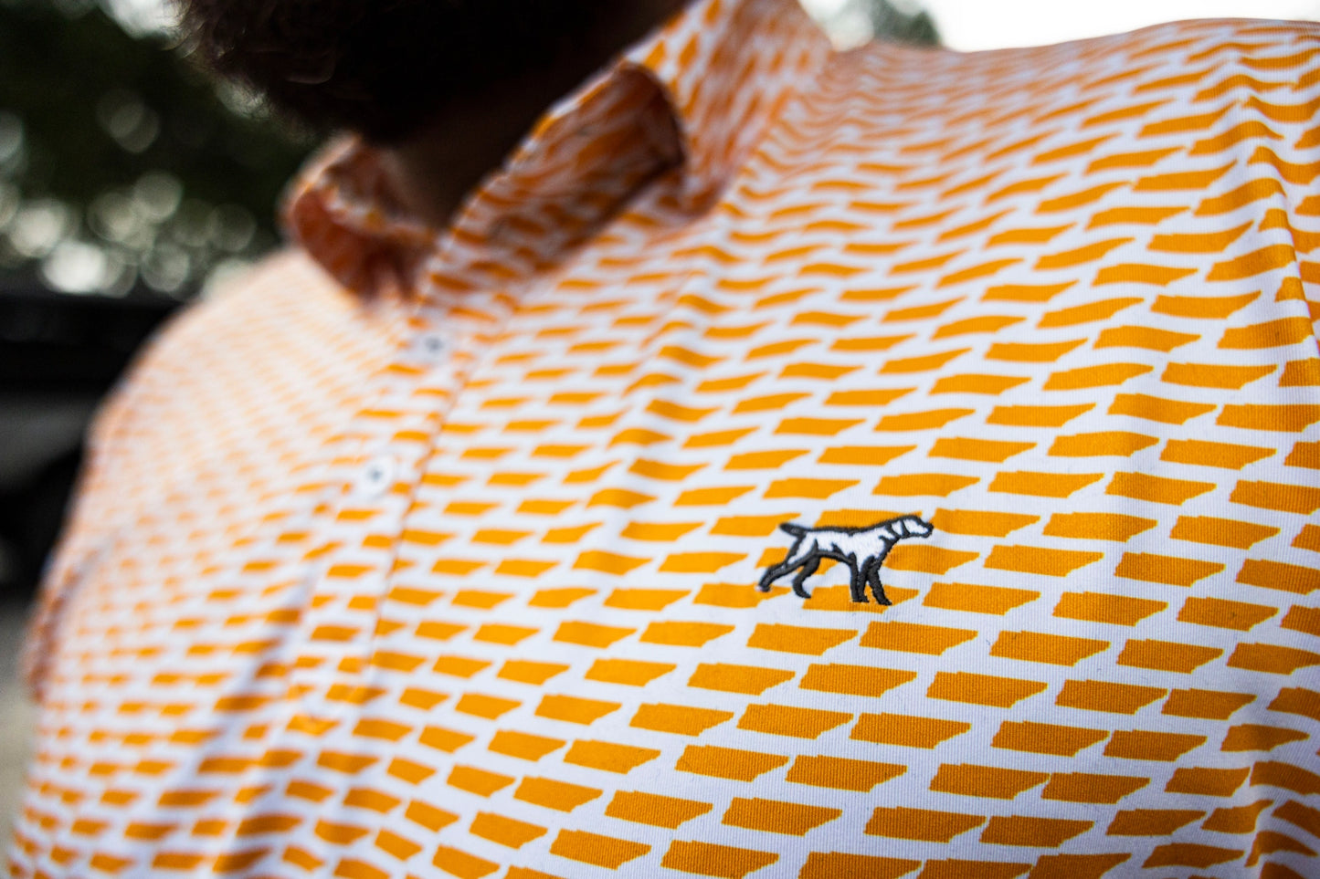 Tennessee State Pride Polo