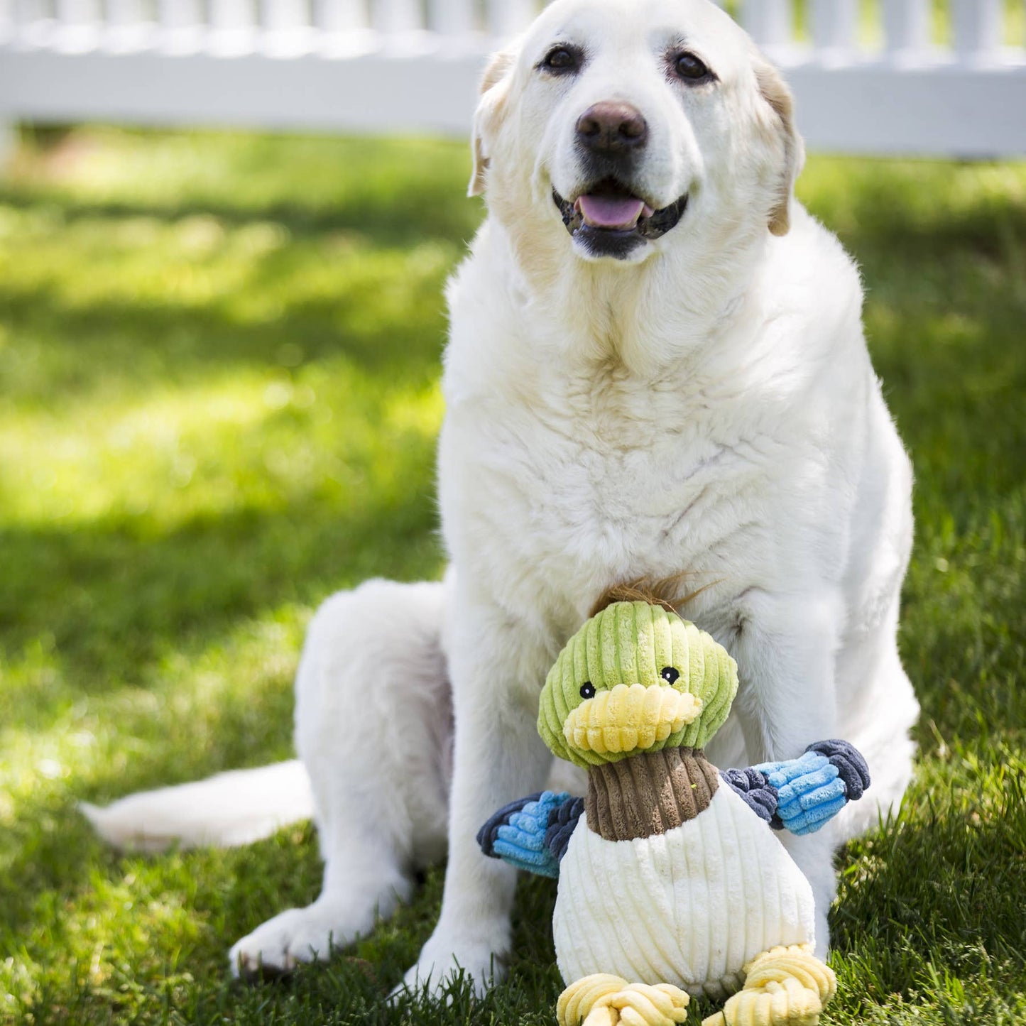 Dilly Duck Knottie® Plush Dog Toy