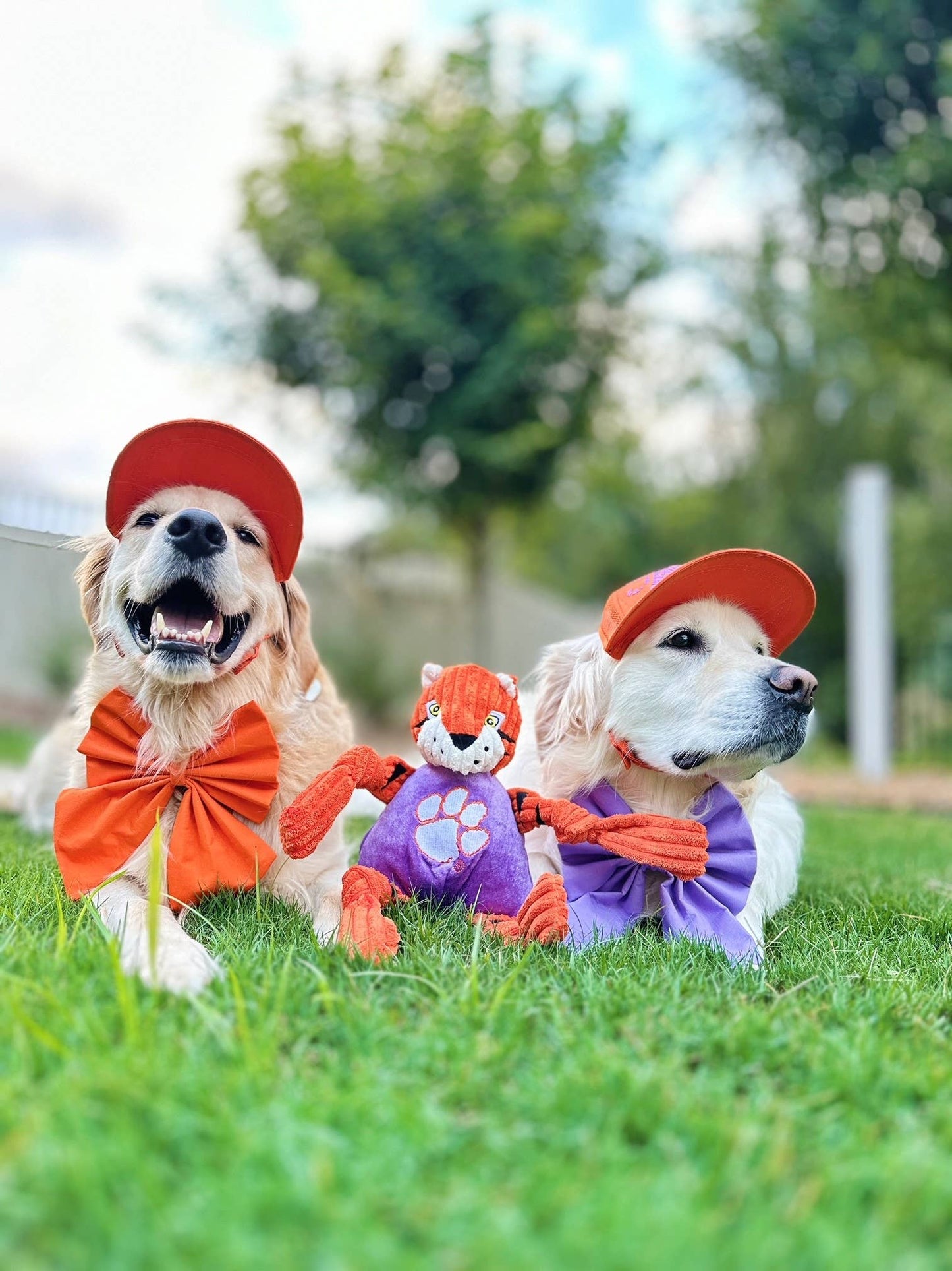 Clemson University, The Tiger Knottie® Plush Dog Toy