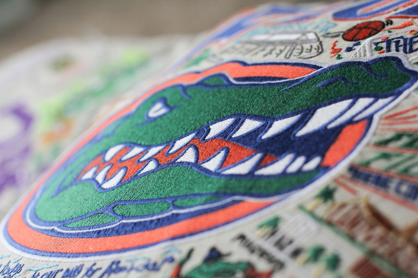 Florida, University Pillow