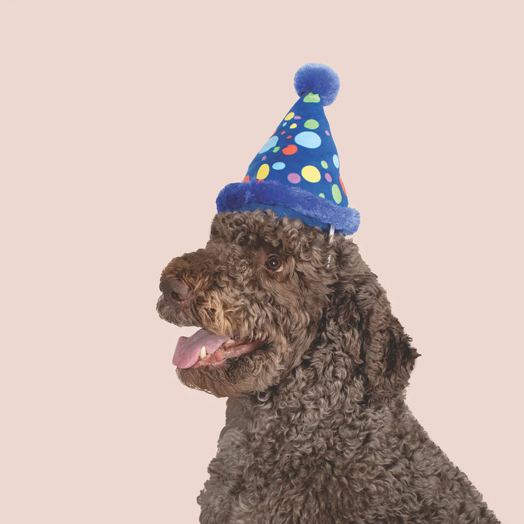 LARGE PARTY HAT DOG TOY