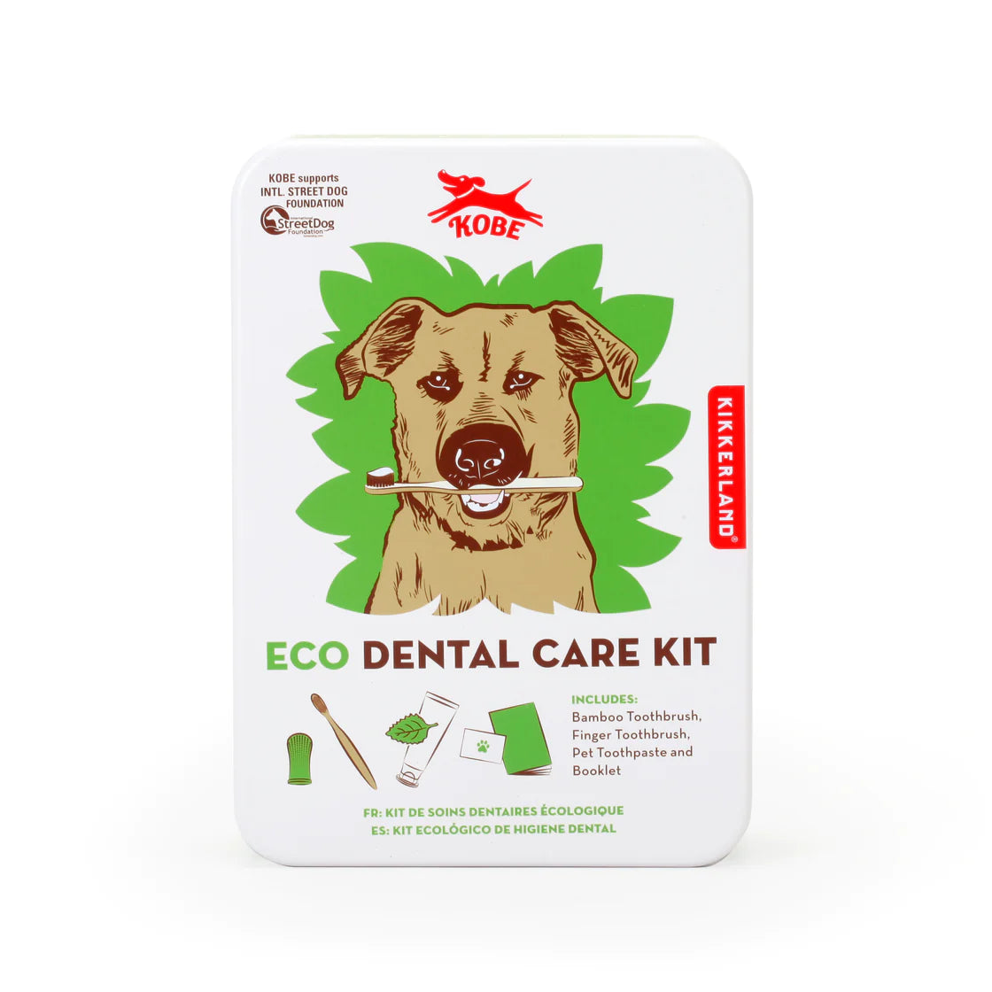 Dental Care Kit