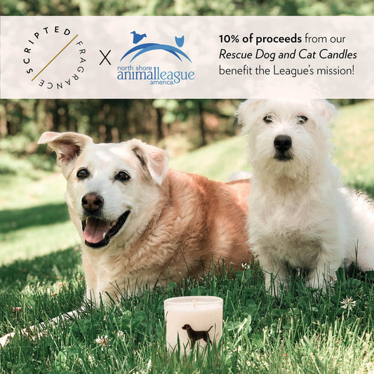 Rescue Dog Soy Candle
